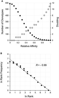 Age-Based Dynamics of a Stable Circulating Cd8 T Cell Repertoire Component